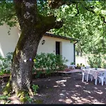 La Pecora Apartment *
