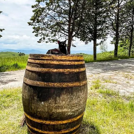 La Pecora Daire
