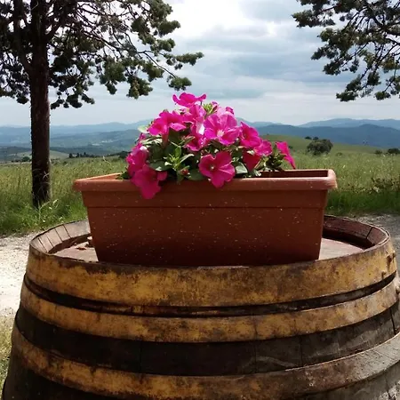 La Pecora Daire San Gimignano