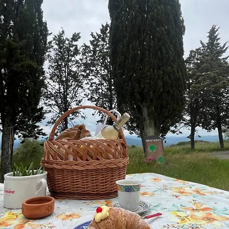 La Pecora Daire *