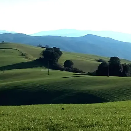 La Pecora