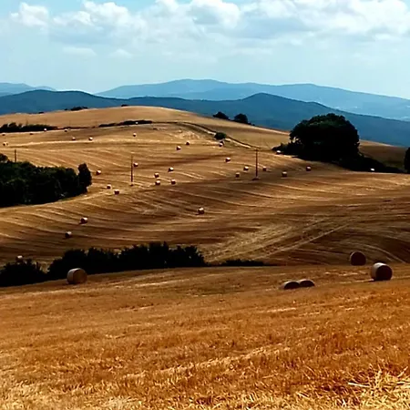 Appartamento La Pecora San Gimignano