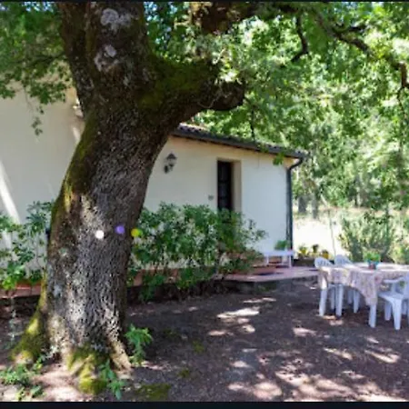 La Pecora Daire *