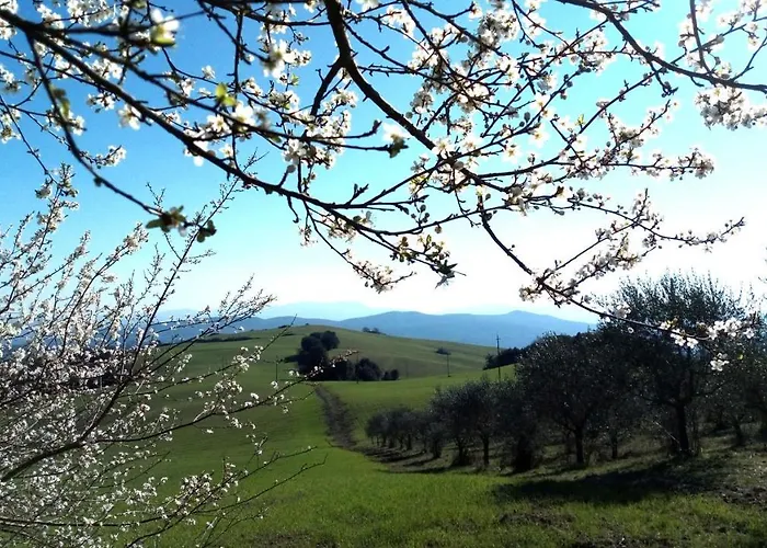 Appartamento La Pecora *