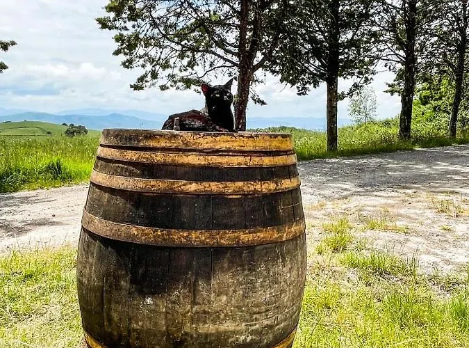La Pecora Appartamento