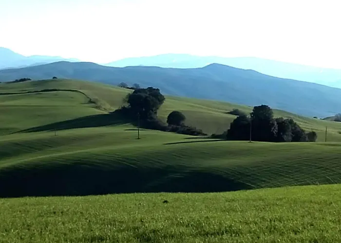 La Pecora